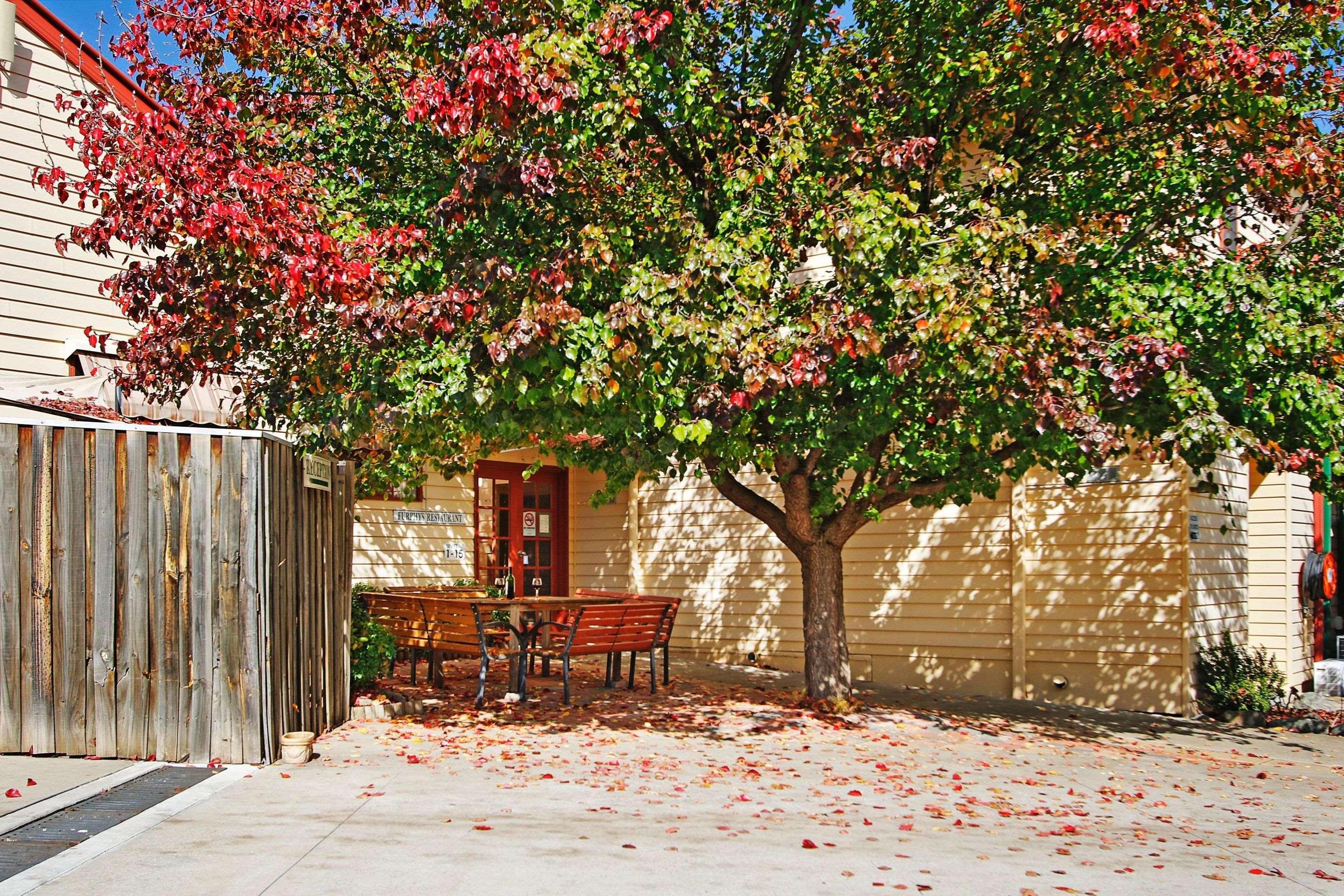 Comfort Inn Sovereign Gundagai Exterior photo